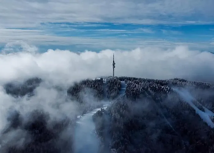 Line Apartment Pamporowo